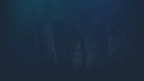 🔥 Sanguivore: Twenty Below | Steam РУ+UA+KZ+СНГ🔥
