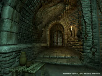 ✅The Elder Scrolls IV Oblivion GOTY / DELUXE Steam Ключ