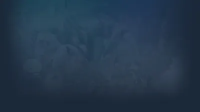 🔥 Nuwa | Steam РУ+UA+KZ+СНГ🔥