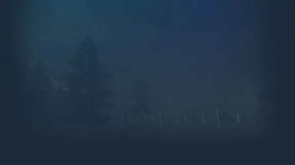 🔥 Finnish Army Simulator | Steam RU+UA+KZ+CIS 🔥