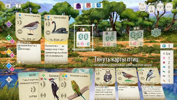 Wingspan: Oceania Expansion Крылья: Птицы Океании STEAM