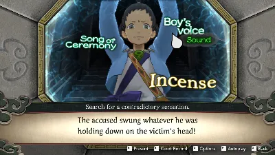 Apollo Justice: Ace Attorney Trilogy RU UA KZ CIS TR AR