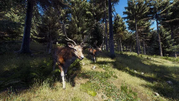 ❗WAY OF THE HUNTER❗XBOX X|S🔑КЛЮЧ❗