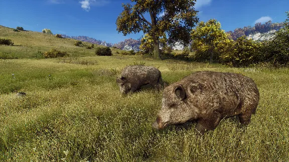 ❗WAY OF THE HUNTER❗XBOX X|S🔑КЛЮЧ❗