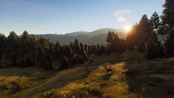❗WAY OF THE HUNTER❗XBOX X|S🔑КЛЮЧ❗