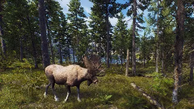 ❗WAY OF THE HUNTER❗XBOX X|S🔑КЛЮЧ❗
