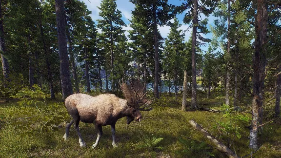 ❗WAY OF THE HUNTER❗XBOX X|S🔑КЛЮЧ❗