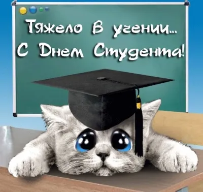 Контрольная Юридическая техника