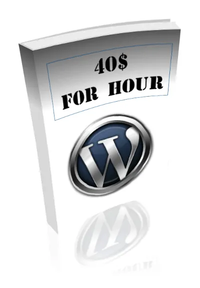 Course: "1200 rubles per hour for the installation of WordPress»