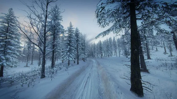 DiRT Rally 2.0 - Sweden (Rally Location) DLC