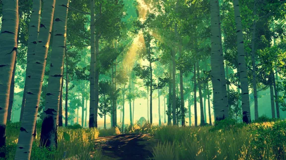 ⚡️Firewatch | АВТОДОСТАВКА [Россия Steam Gift]