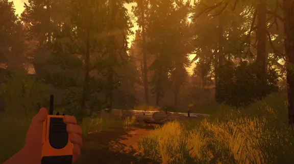 ⚡️Firewatch | АВТОДОСТАВКА [Россия Steam Gift]