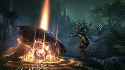 TESO Deluxe Upgrade: Gold Road * RU/KZ/СНГ/TR/AR