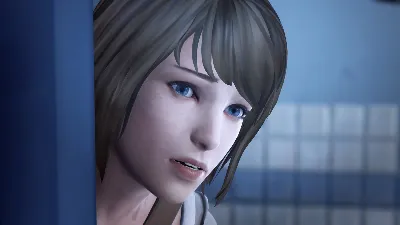 Life is Strange Remastered Collection STEAM•RU ⚡️AUTO