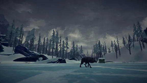 ⚡️The Long Dark | АВТОДОСТАВКА [Россия Steam Gift]