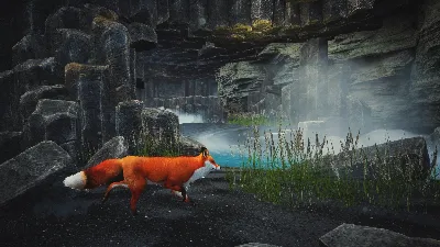 ❗SPIRIT OF THE NORTH: ENHANCED EDITION❗XBOX X|S🔑КЛЮЧ