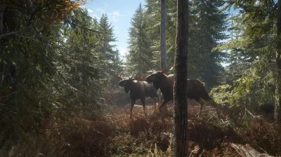 ✅theHunter Call of the Wild + 9 DLC (Steam Ключ РФ+МИР)