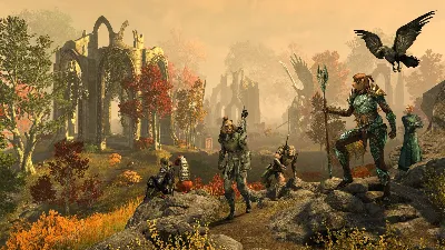 ✅The Elder Scrolls Online Upgrade: Gold Road🟣ESO🔑КЛЮЧ