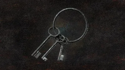 Dragon&acute;s dogma 2: Makeshift Gaol Key