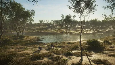✅theHunter Call of the Wild Emerald Coast Australia⭐Key