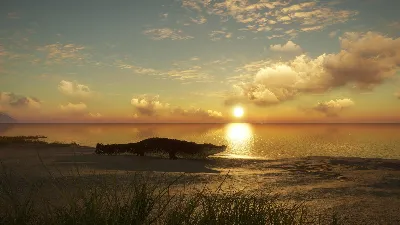 ✅theHunter Call of the Wild Emerald Coast Australia⭐Key