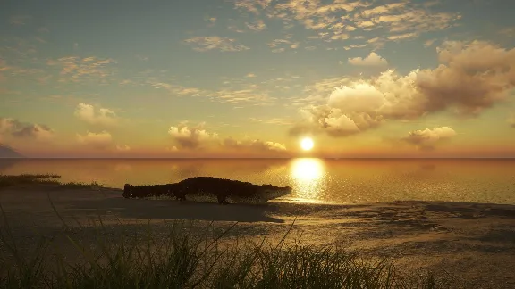 ✅theHunter Call of the Wild Emerald Coast Australia⭐Key