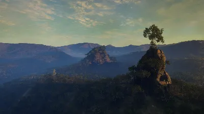 ✅theHunter Call of the Wild Emerald Coast Australia⭐Key