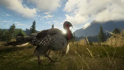 ✅theHunter: Call of the Wild Silver Ridge Peaks ⭐Steam⭐