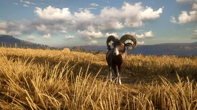✅theHunter Call of the Wild Cuatro Colinas Game Reserve