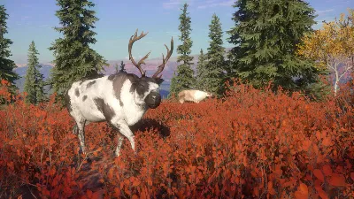 ✅theHunter Call of the Wild Yukon Valley⭐Steam\Key⭐ +🎁