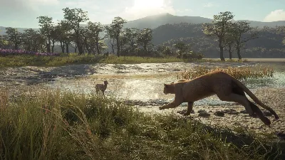 ✅theHunter: Call of the Wild Parque Fernando⭐Steam\Key⭐