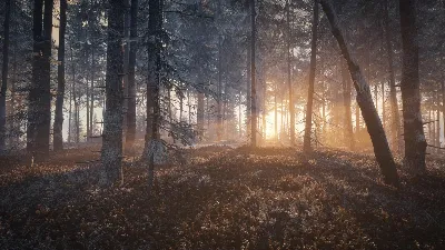 ✅theHunter: Call of the Wild Medved-Taiga⭐Steam\Key⭐+🎁