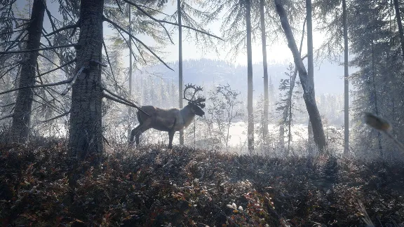 ✅theHunter: Call of the Wild Medved-Taiga⭐Steam\Key⭐+🎁