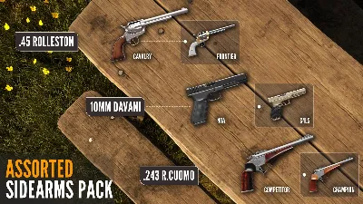 ✅theHunter Call of the Wild Assorted Sidearms Pack⭐Стим