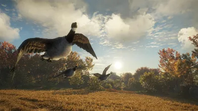 ✅theHunter Call of the Wild Wild Goose Chase Gear⭐Steam
