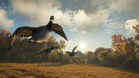 ✅theHunter Call of the Wild Wild Goose Chase Gear⭐Steam
