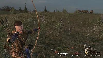 ✅Mount & Blade Warband Viking Conquest (Эпоха Турниров)