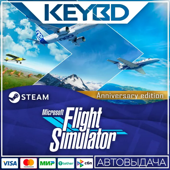 Microsoft Flight Simulator 40th Anniversary Edit +ВЫБОР