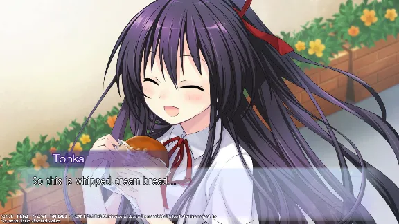 DATE A LIVE Rio Reincarnation (steam key)