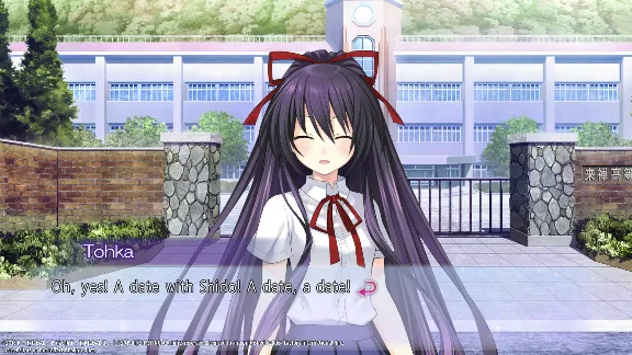 DATE A LIVE Rio Reincarnation (steam key)