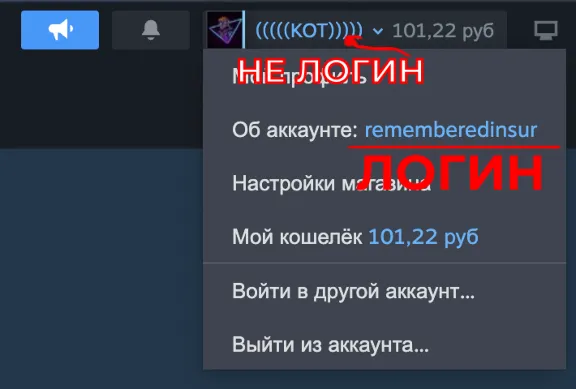 🚀AUTO REPLENISHMENT OF STEAM BALANCE⚡️RUB, KZT, UAH⚡️