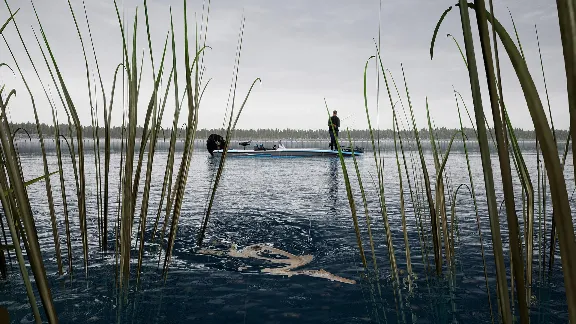 Fishing Sim World Pro Tour Lake Dylan (steam key) DLC