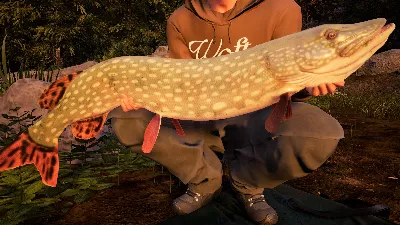 Fishing Sim World Pro Tour Jezioro Bestii (steam) DLC