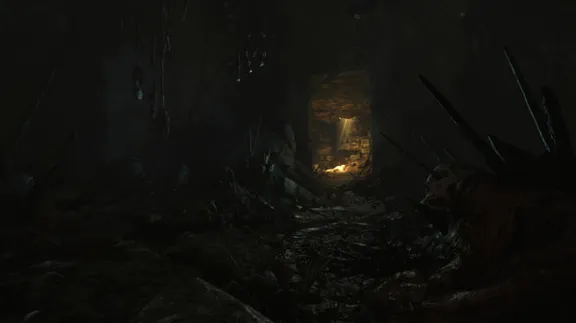 ⚡️Amnesia: Rebirth | АВТОДОСТАВКА [Россия Steam Gift]