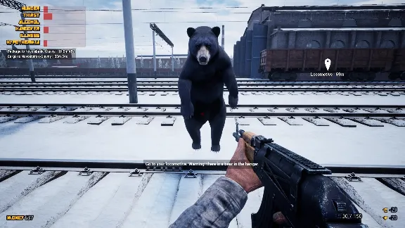 Trans-Siberian Railway Simulator +ВЫБОР РЕГИОНА STEAM⚡️