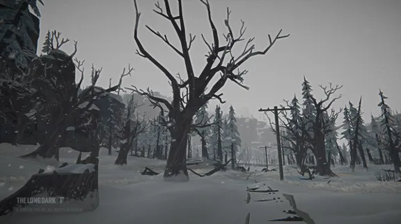 ⚡️The Long Dark: Tales from the Far Territory | АВТО RU