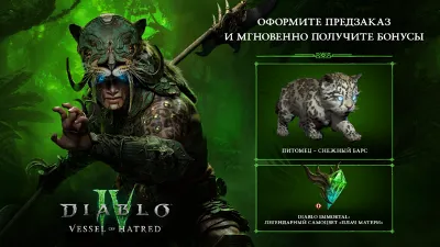 ✅ Diablo IV: Vessel of Hatred BATTLE.NET ⭐ ВСЕ ВЕРСИИ ⭐