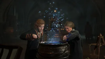 ✅💙ХОГВАРТС НАСЛЕДИЕ: НАБОР ТЁМНЫХ ИСКУССТВ💙STEAM GIFT
