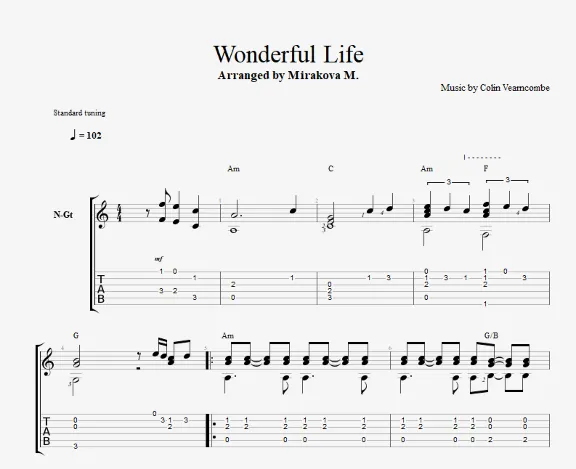 Wonderful Life