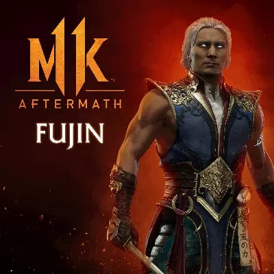 Fujin PS4 ПСН PLAYSTATION
